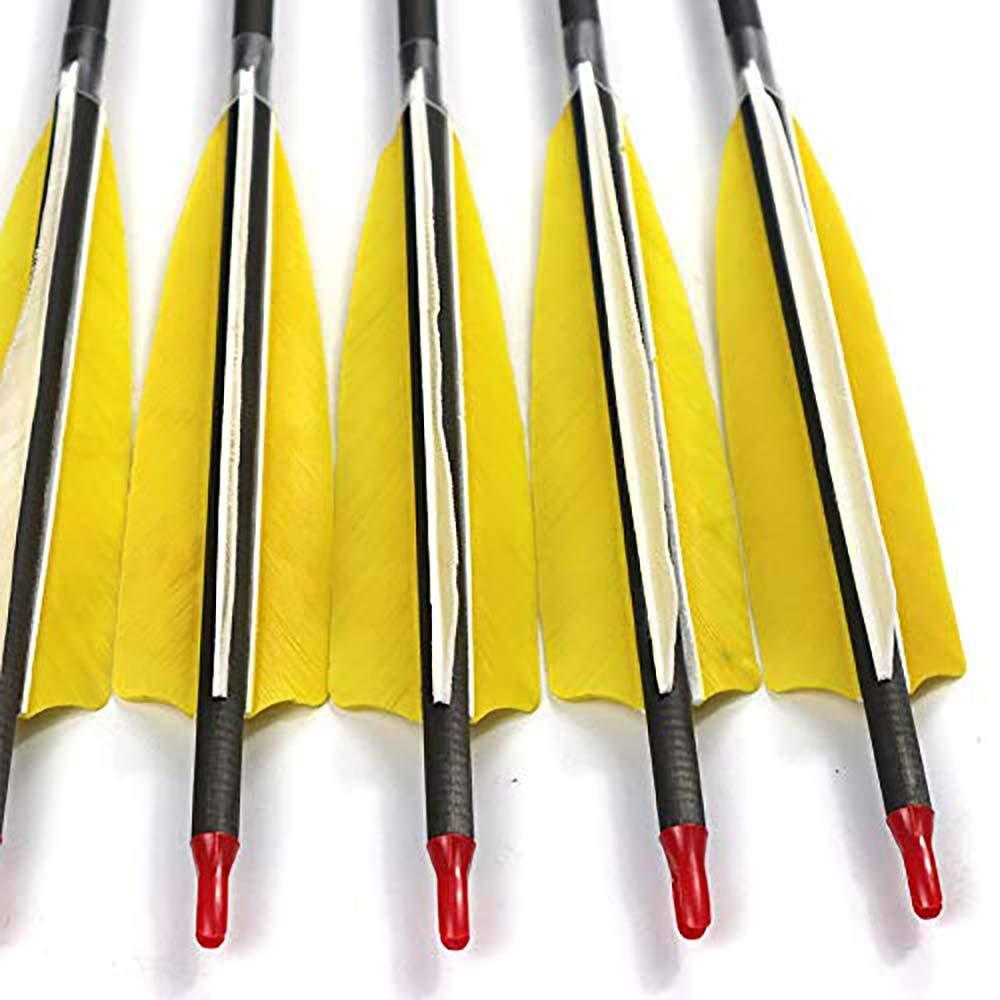 ACCMOS 12pc Custom Length Carbon Arrows for 15-95 Lb Compound Bow ID 6.2mm .244\" 22-33 Inch Spine 250 300 340 400 500 600 700 800 Target Practice & Hunting Arrow Adult Youth Shooting