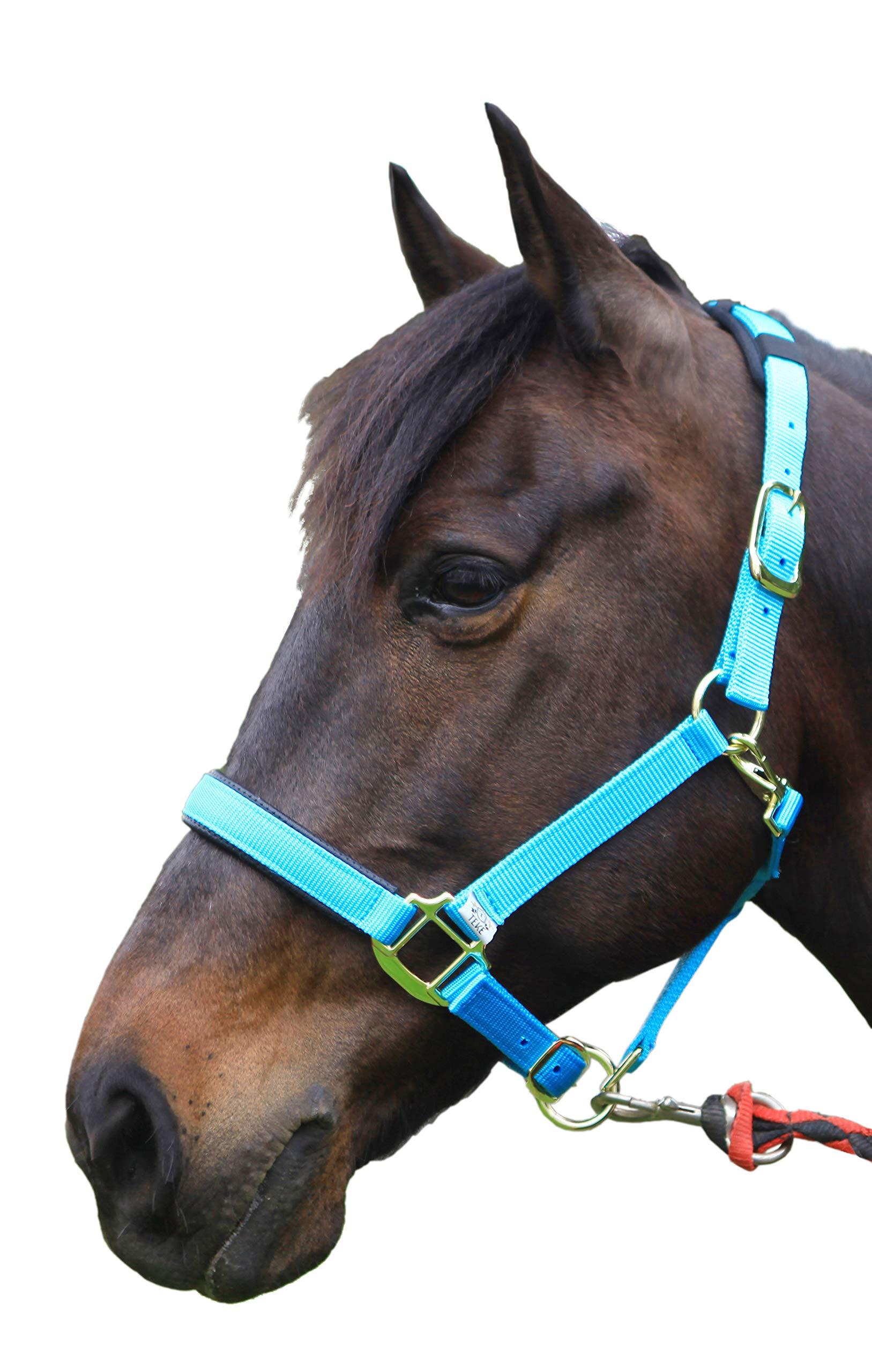 T TEKE T TEKE Adjustable Horse Halters by Heavy Duty Soft Nylon, Padded with Anti-rubbing Waffle Neoprene on Both Crown & Nose