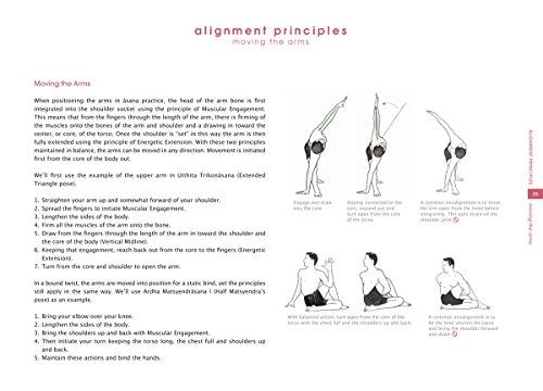 UiiWout rfcxs The Yoga Technique Guide - Principles of Alignment and Sequencing