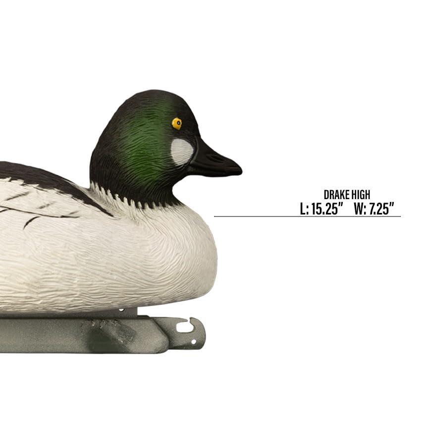 Higdon Outdoors Higdon Outdoors Battleship Goldeneye Duck Decoys, All Drakes, Foam-Filled