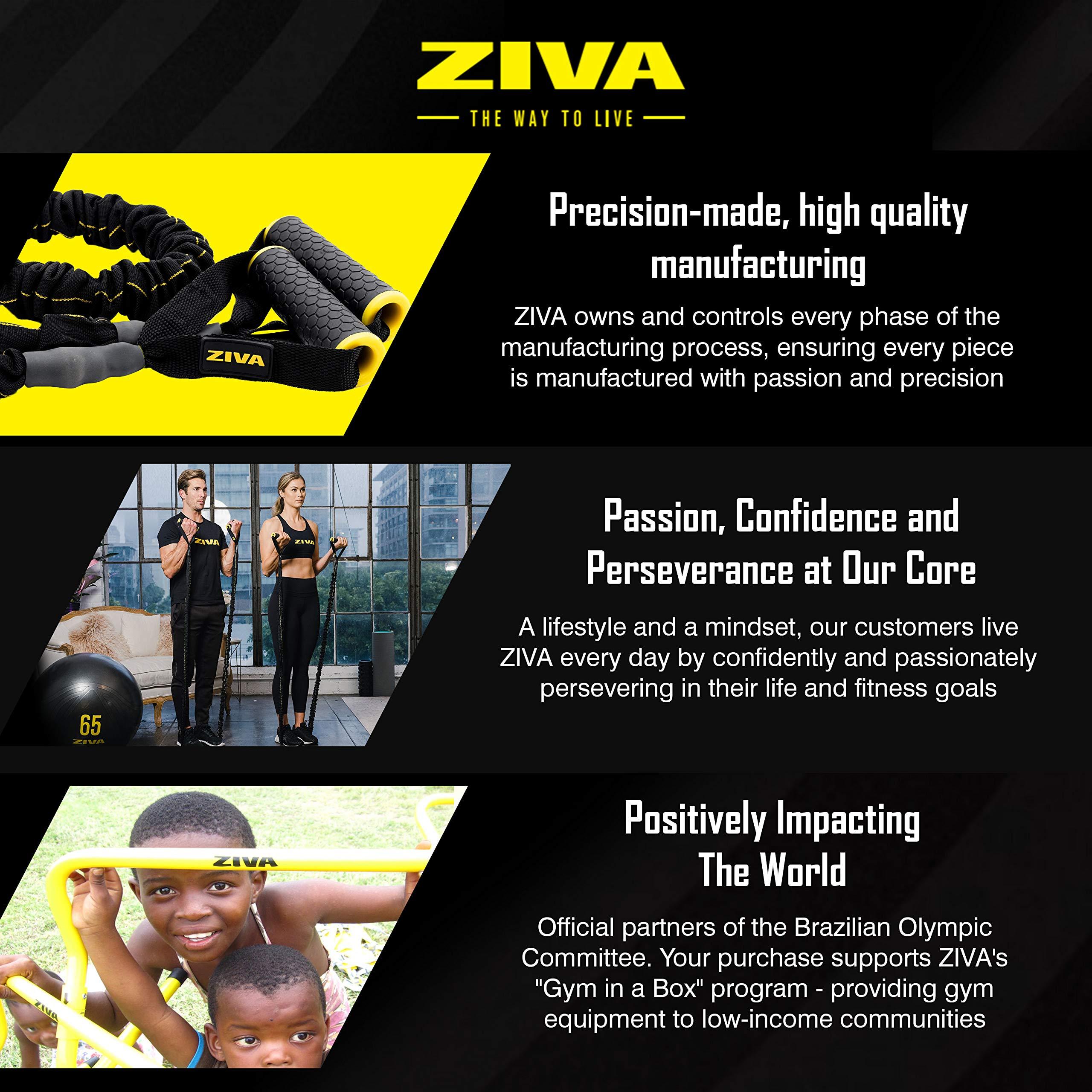 ZIVA Ziva Portable Lightweight Resistance Tube Band - Multiple Resistance Avail - Nylon Safety Sleeve and Foam Handles for Home Fitness, Strength Training, Cross Workouts Extra Heavy 45-50 lbs