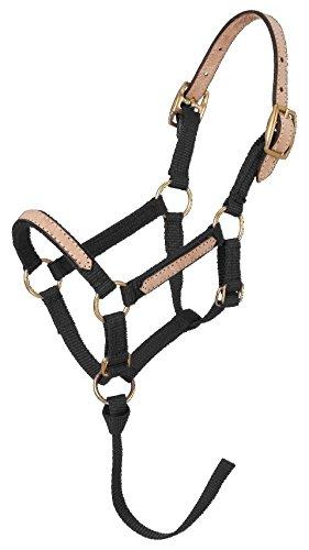 Tough 1 Tough 1 Miniature Nylon Break-Away Halter, Black, Large N