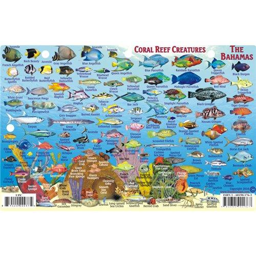 Franko Maps Franko Maps Bahamas Fish ID for Scuba Divers and Snorkelers