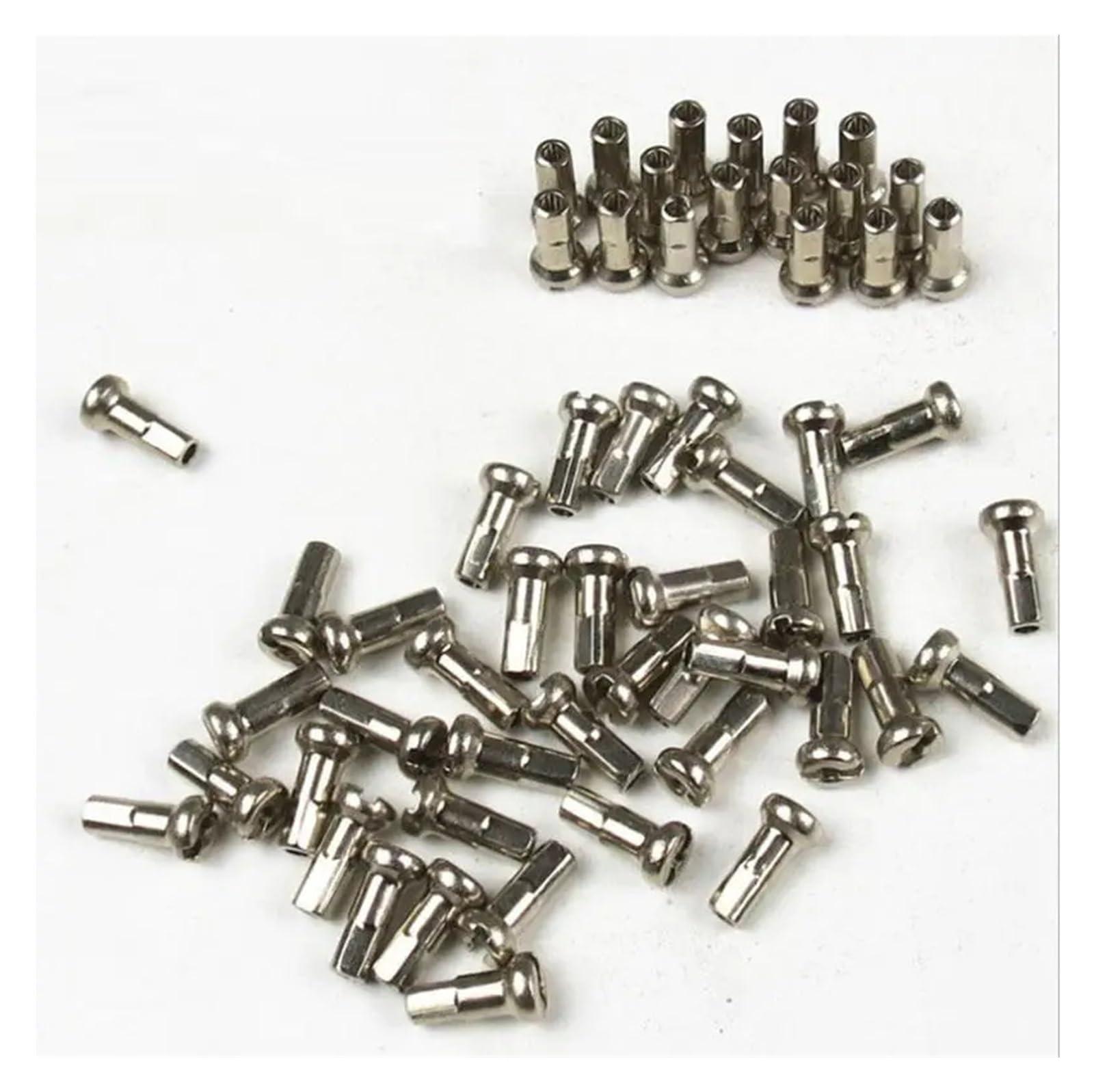 QUYNAGER QUYNAGER 36pcs for Bicycle Stainless Spokes Silver Wire Mountain/Road Bike 304 14G High-Strength Spokes 174/237/261/274/298/300/305MM Customized(174MM), QUYANG002