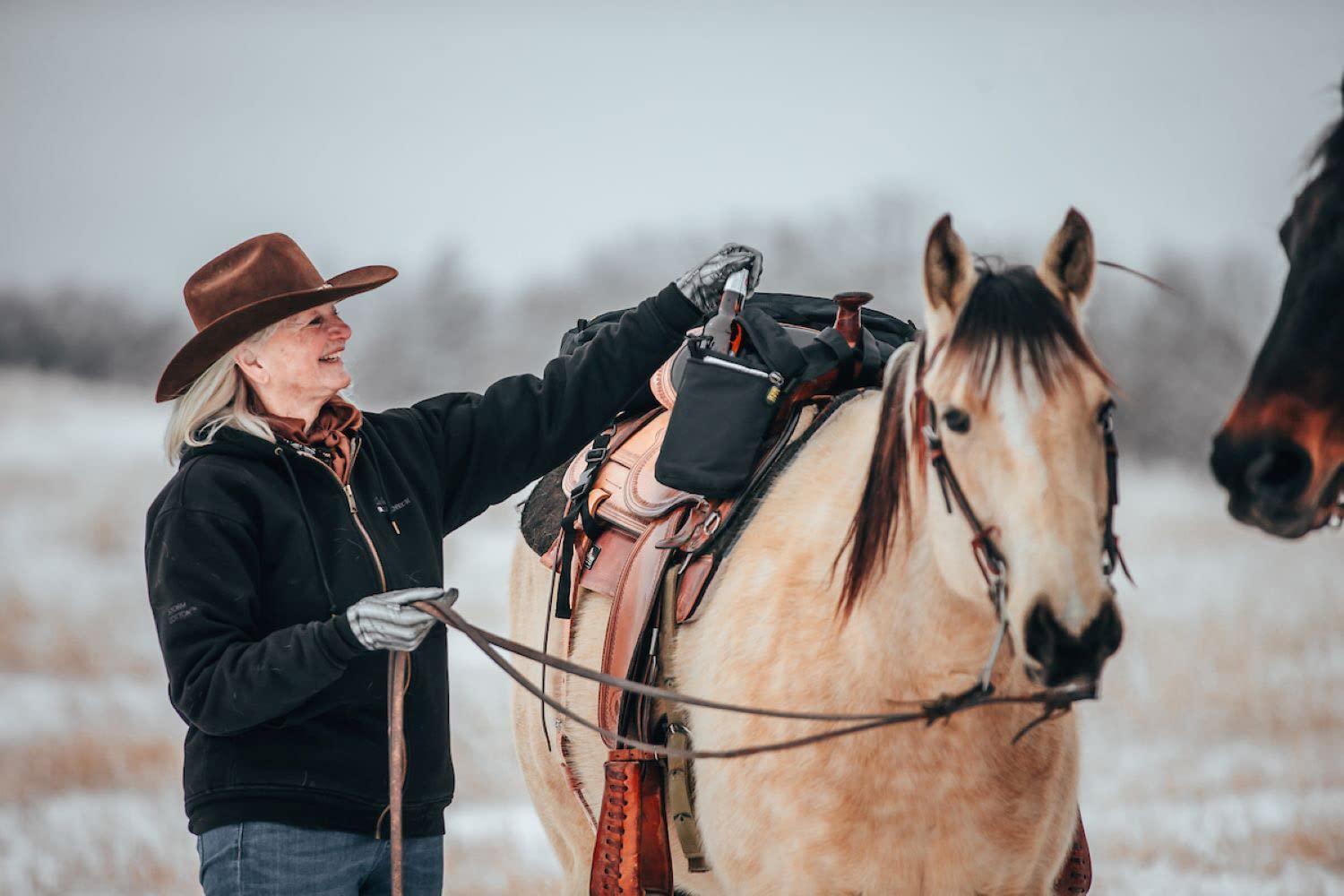 TrailMax TrailMax Large Saddle Bag Bundle; Pommel Pocket, Large Horn Bags, and Large Saddle Bags w/Detachable Cantle Package; Bundle of Large Horse Saddle Bags; Pommel, Horn, and Saddle Bag Set;