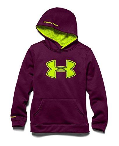 Ua storm big logo outlet hoodie