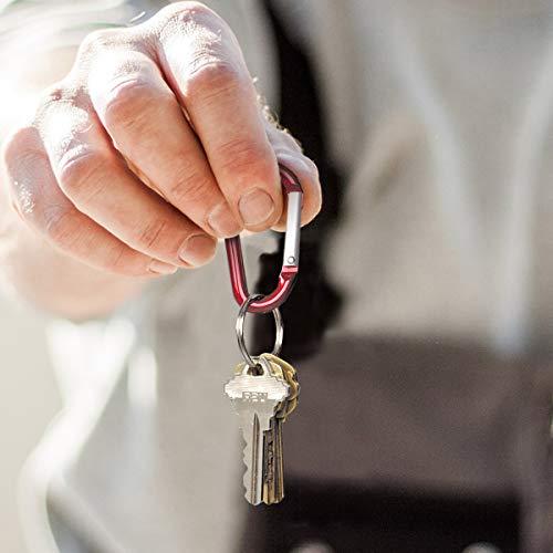 Lucky Line Lucky Line Aluminum Large 3-1/8\" Carabiner Clip, Snap-Link C-Shape Heavy Duty Key Chain, Nickel-Plated Key Ring, Light Weight and Durable, Red, 5 Pack