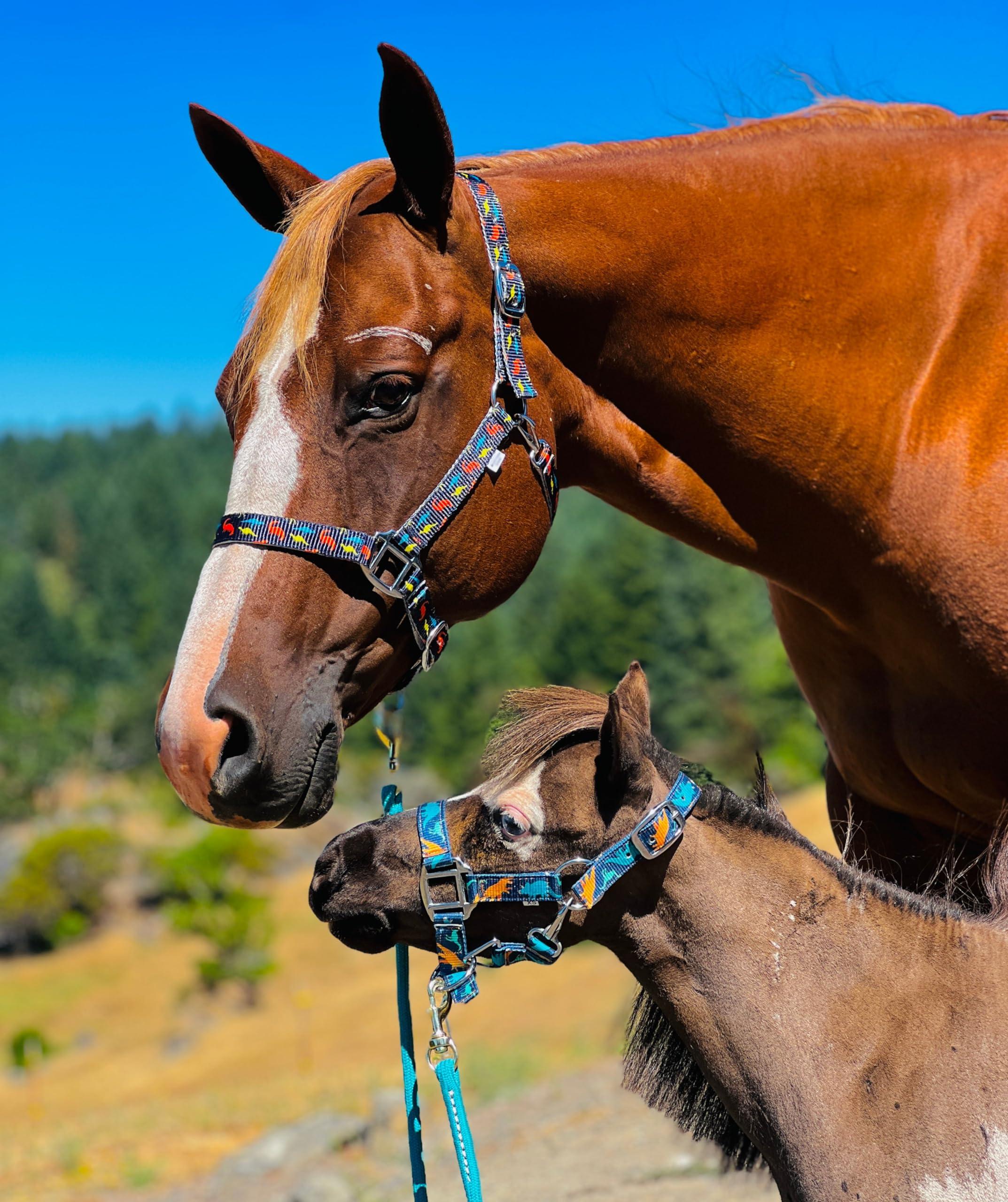 Star Point Horsemanship Star Point Horsemanship Mini-Pony Dinosaur Halter Nylon Horse Training Halter Stiff Cord Adjustable Long Lasting Quick Release Buckle Used by Famous Trainers (Average Horse Size)