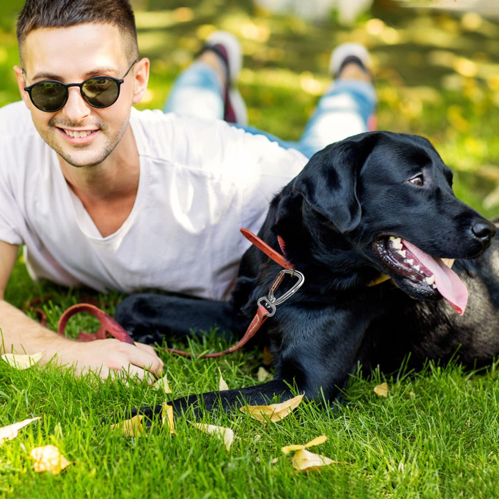 PANDENGZHE PANDENGZHE 2 Pack Locking Carabiner Clip 2.5" with Swivel Ring for Securing Pets, Dog Leash Harness, Camping, Hiking, Keychains