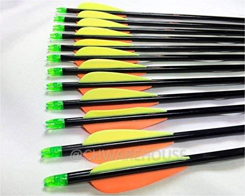 Raise Products Raise Products Capitano 32-Inch Archery Fiberglass Target Practice Arrow Replaceable Screw-in Tips with Nocks and Fletches, 81CM (1 Dozen)