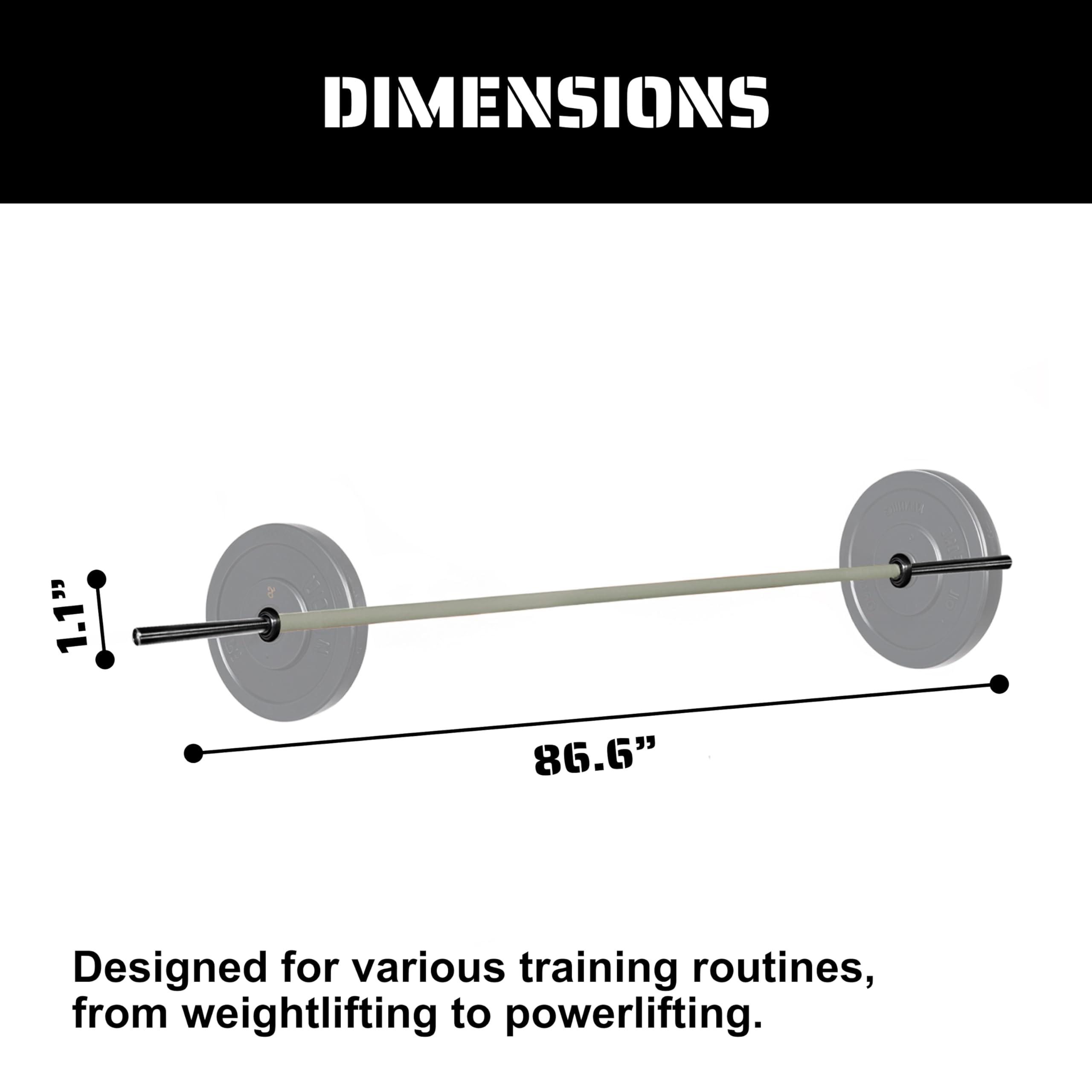 TRIBE WOD Tribe WOD Olympus Barbell Bar & Weight Bar - Bend-proof for Men and Women, Multipurpose Cerakote Weightlifting Barbell, barbell and weight set
