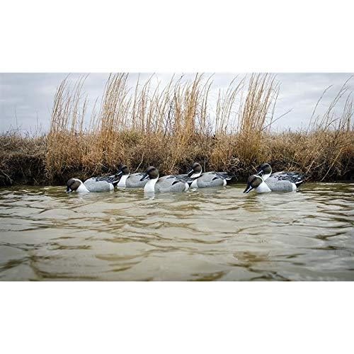 Higdon Outdoors Higdon Outdoors Battleship Pintail Duck Decoys, All Drakes, Foam-Filled