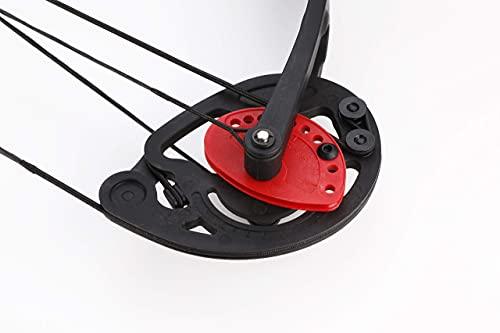 PANDARUS PANDARUS Compound Bow Archery for Youth and Beginner, Right Handed,19-28 Draw Length,15-29 Lbs Draw Weight, 260 fps (Black Right Handed)