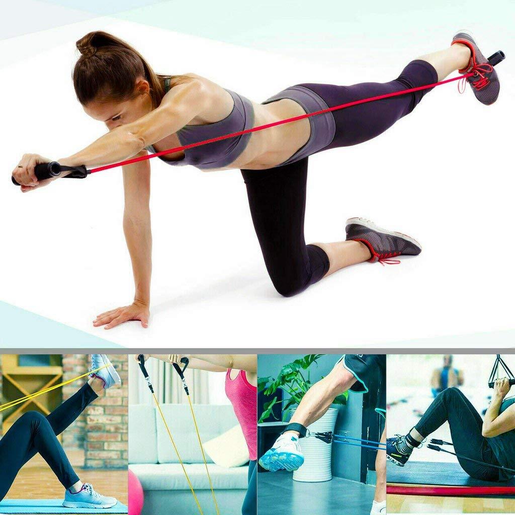 Univers Fitness UNIVERS FITNESS Resistance Bands 150 LBS