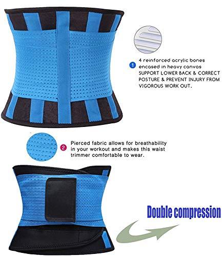 VENUZOR VENUZOR Waist Trainer Belt for Women - Waist Cincher Trimmer - Slimming Body Shaper Belt - Sport Girdle Belt (UP Graded)(Blue,Medium)