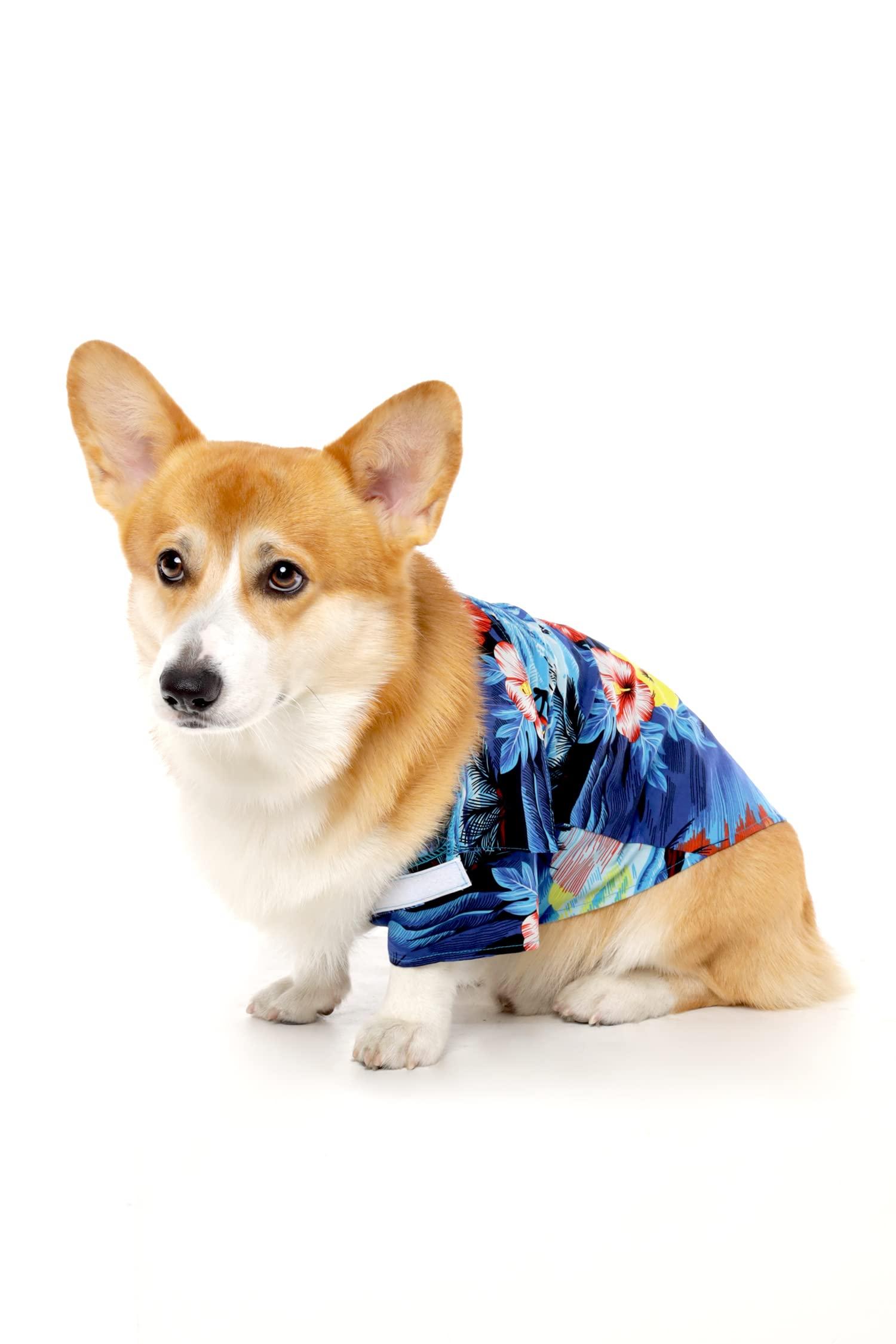 Hawaii Hangover Matchable Family Hawaiian Luau Shirts, Sunset Blue, Dog, Small