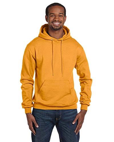 Champion double dry store action fleece pullover hood