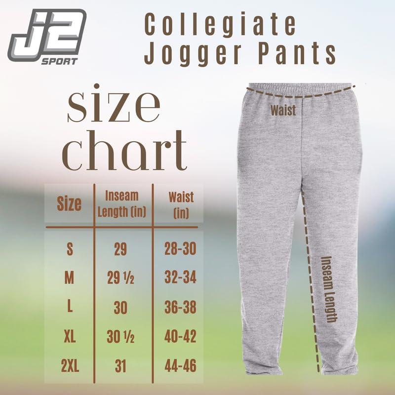 J2 Sport J2 Sport University of North Carolina at Pembroke Sweats Braves Unisex Sweatpants Apparel Grey
