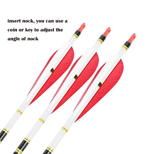 HNZMDY HNZMDY 30 inch Archery Carbon Arrows 500 Spine Hunting Arrows with 4\" 5\" Turkey Feather Fletching 100 Grain Points for Recurve Compound Bow Target Practice (4 inch Arrow Feather, 12 pcs Arrow)