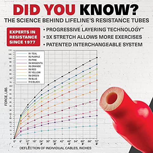 Lifeline Lifeline Chest Expander , Pink