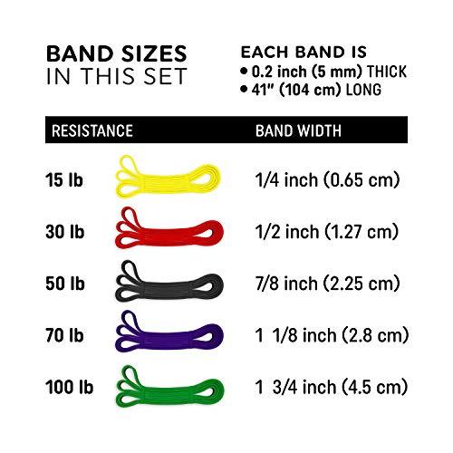 The x Bands THE X BANDS Long Resistance Bands - Squat Bands - Booty Band - Pull Up Bands - Loop Bands - Fitness Bands Resistance Long - Rubber Resistance Bands - Extra Strong Resistance Bands - Set of 5…