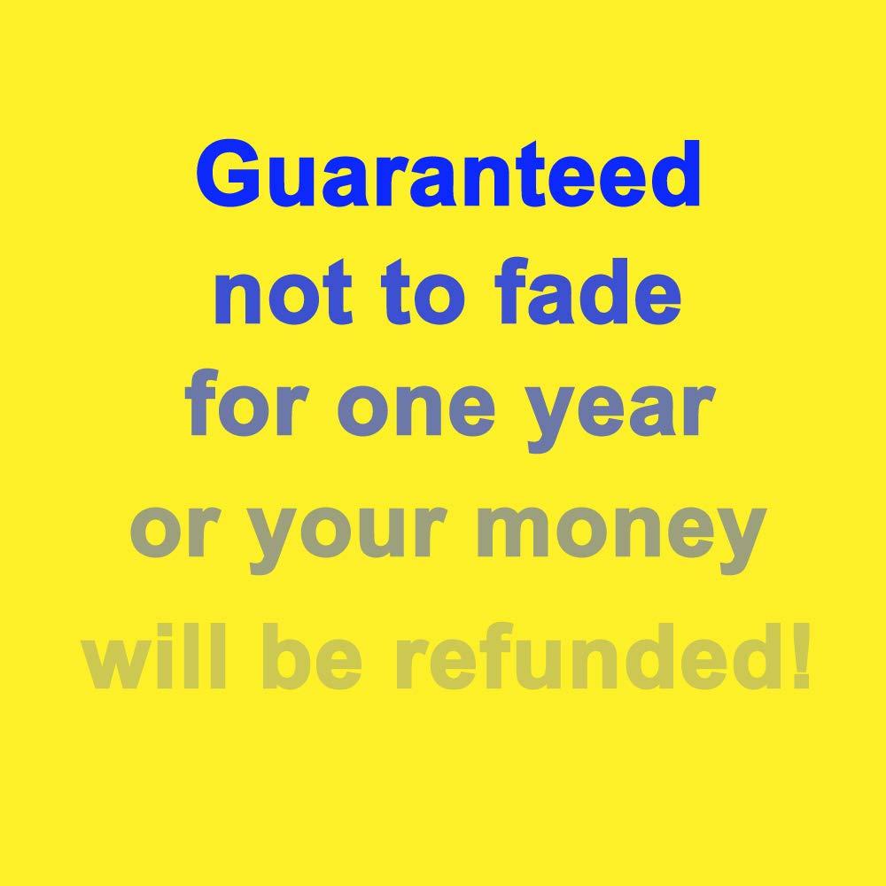 Lenon Lures Lenon\'s Anise Oil Genuine China Star Trusted by Fisherman, Hunters & Trappers Since 1924 (8 oz)