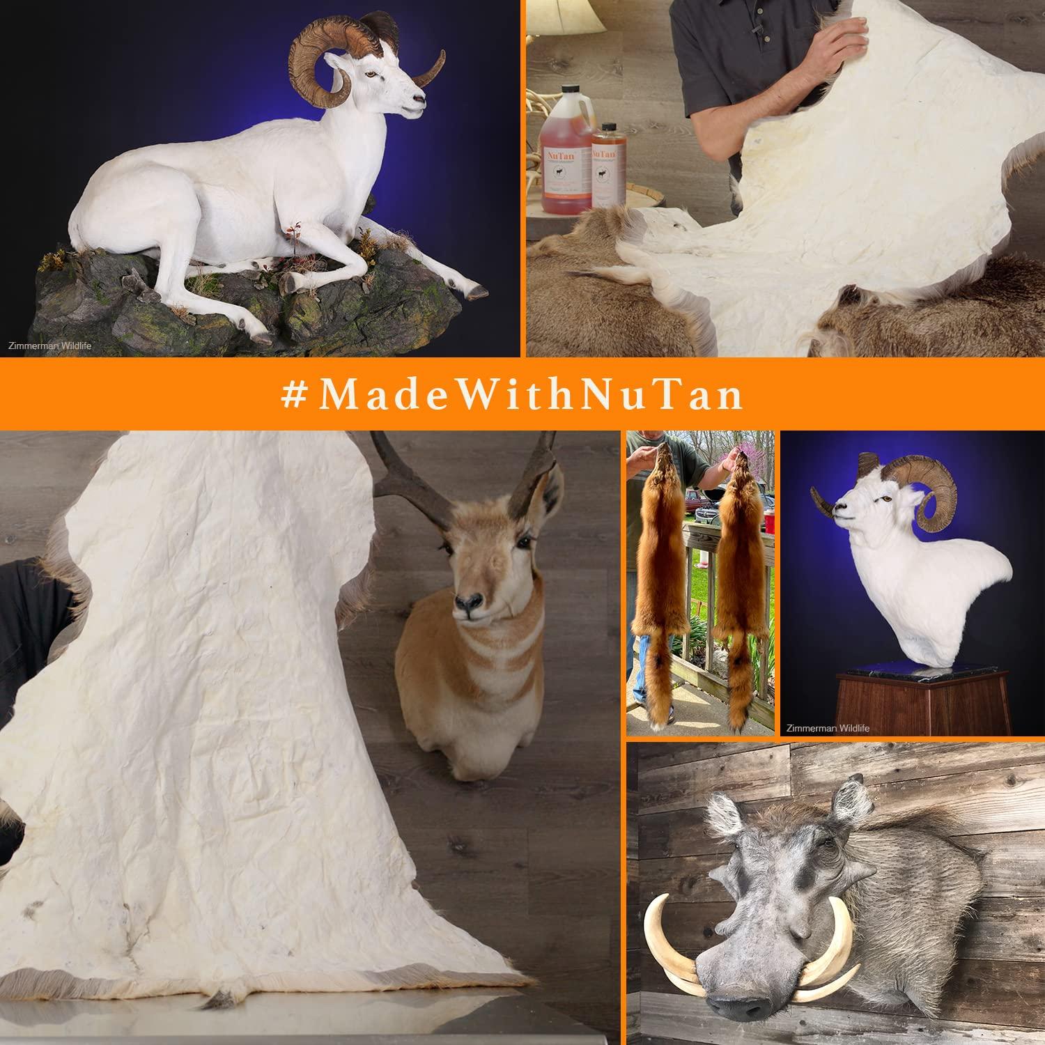 ADVANCED TANNING SOLUTIONS Products for Taxidermy Advanced Tanning Solutions - NuTan 32oz DIY Hide and Fur Tanning Solution - Next Generation At Home Hair-On and Buckskin Tan