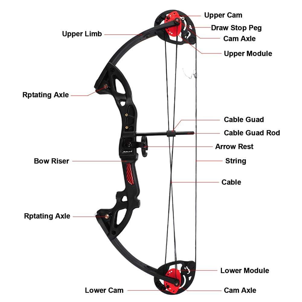 ZSHJGJR ZSHJGJR Archery Compound Bow and Arrow Kit Hunting Bow 15-29lbs Complete Bow Accesories Package Set Junior Entry Level 260fps Right Handed for Outdoor Shooting (Green)