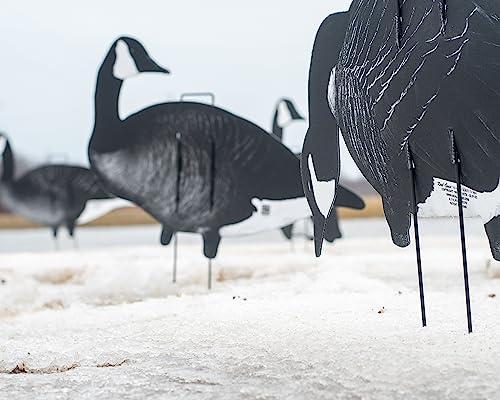 Real-Geese Xclipse Shadow Series Silhouette Decoys