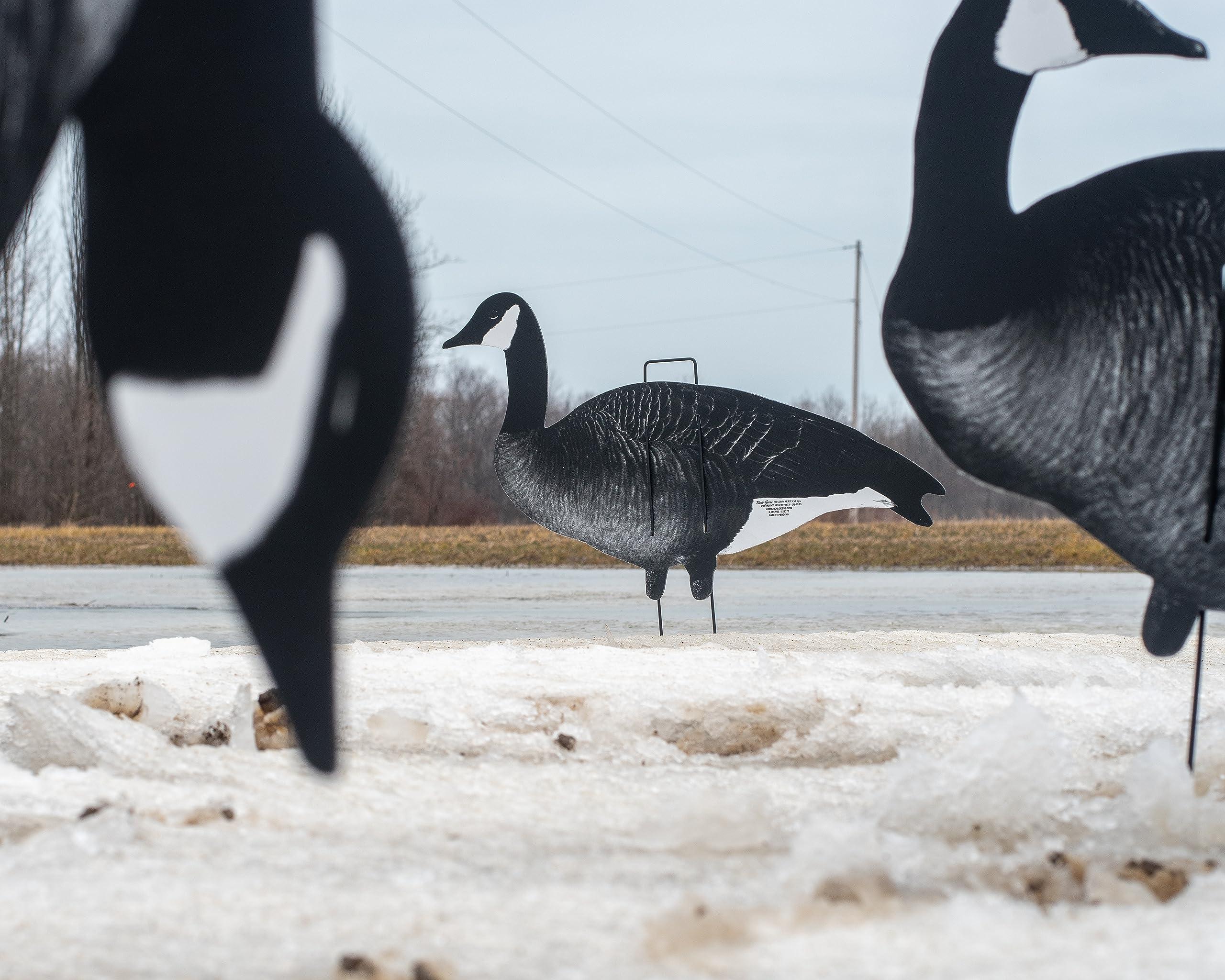 Real-Geese Xclipse Shadow Series Silhouette Decoys