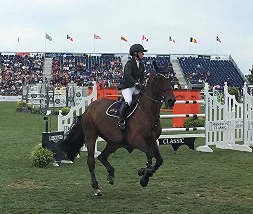 Great White Derby Rope Blue & White 5/8 x 200 Solid Braid Multifilament Utility Propylene All Purpose MFP, Soft Touch Equestrian, Cord for Crafts, Sport, Landscaping, Horse Tack, Pets leash & Dcor, Made in USA