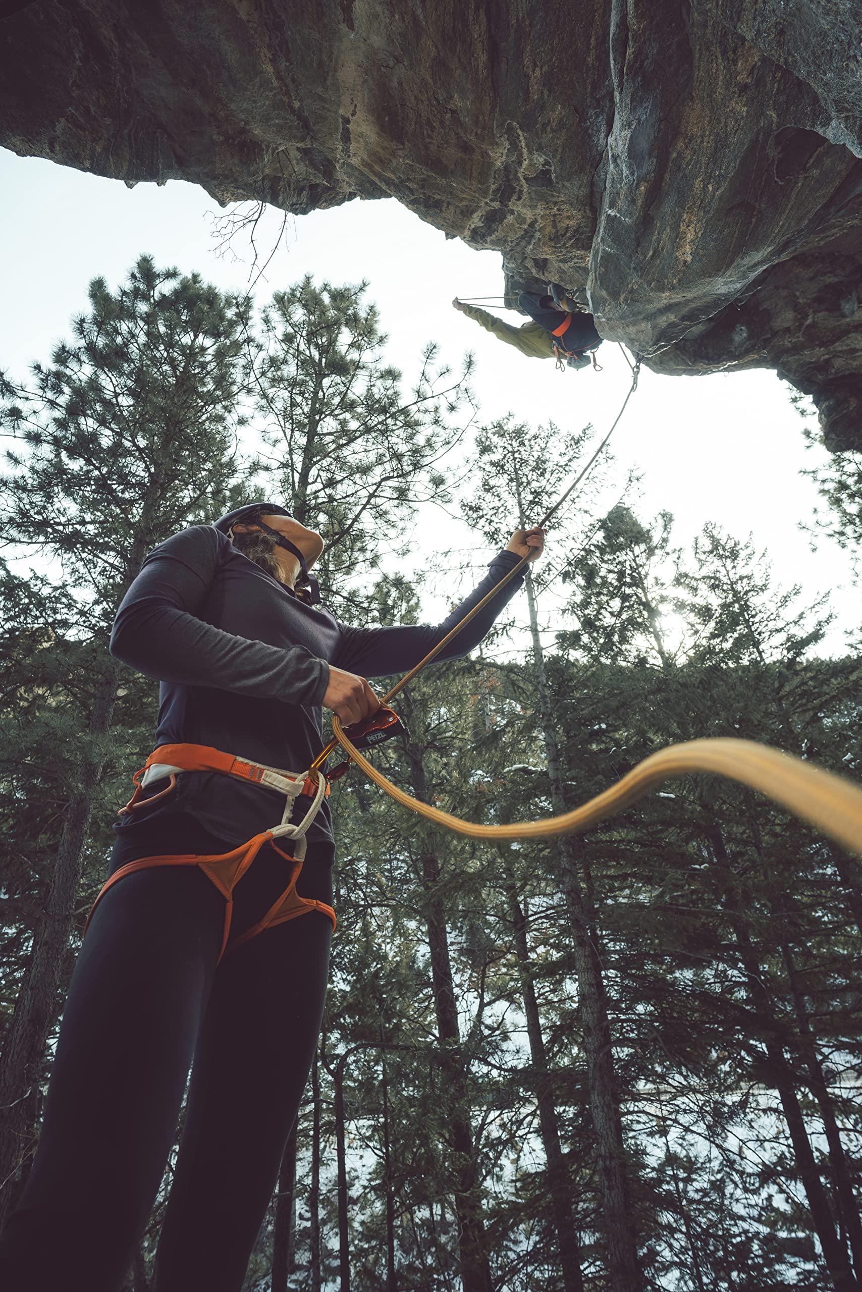 Petzl Petzl GRIGRI Belay Device - Belay Device With Cam-Assisted Blocking for Sport, Trad, and Top-Rope Climbing - Blue