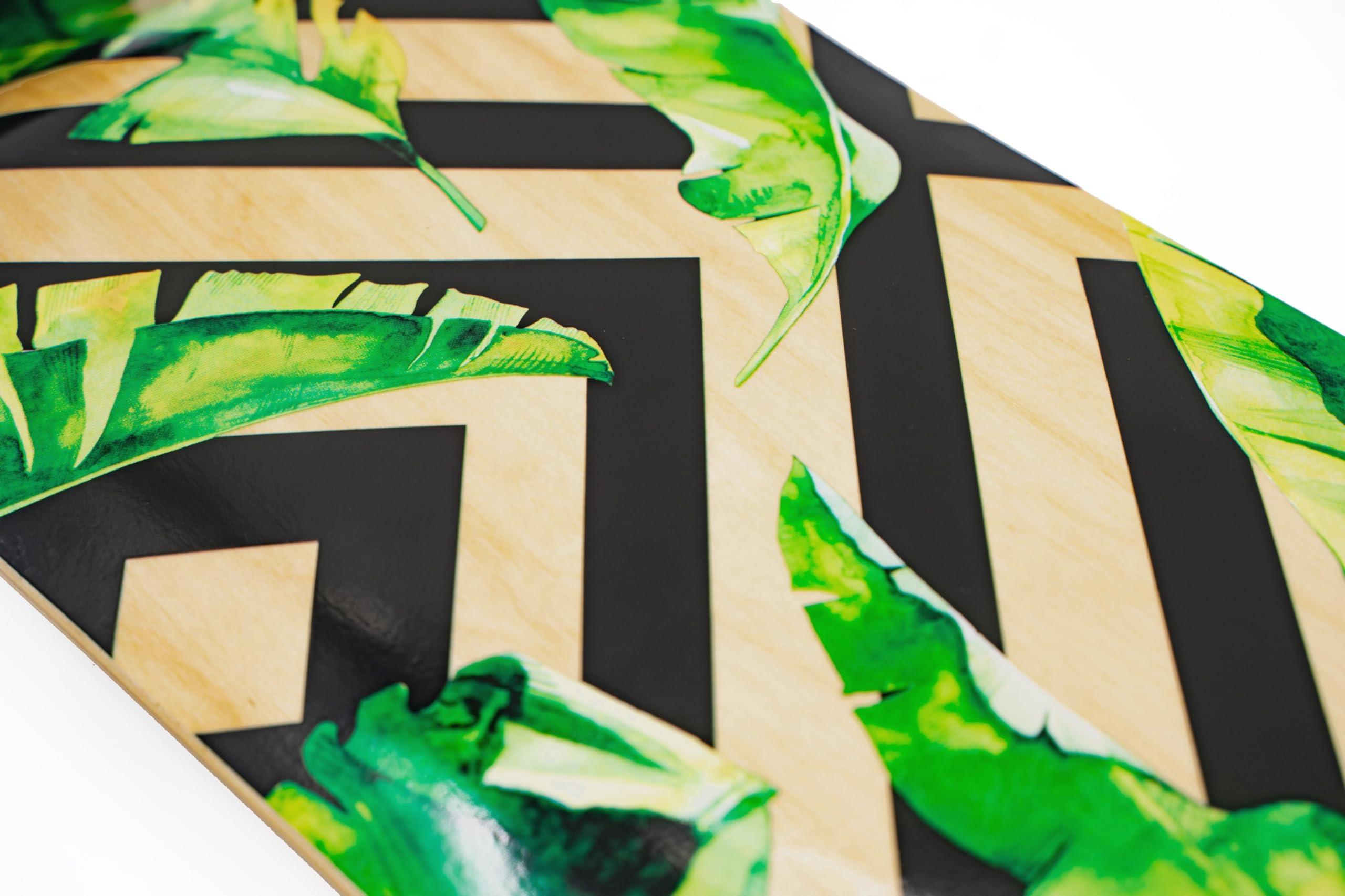 MINORITY MINORITY Downhill Maple Longboard Skateboard | 40-inch Drop Trough Deck | Made for Cruising Ride (Tropical)