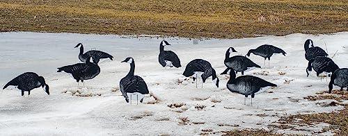 Real-Geese Xclipse Shadow Series Silhouette Decoys