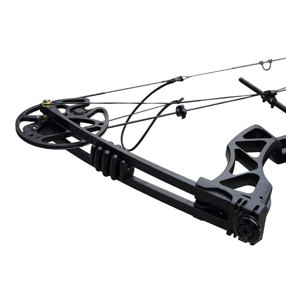 SHARROW SHARROW Archery Compound Bow Kit 30-70lbs Complete Compound Bow Arrow Package Set Adult Hunting Bow with Carbon Arrows 329FPS Right Hand (Black Bow Set)