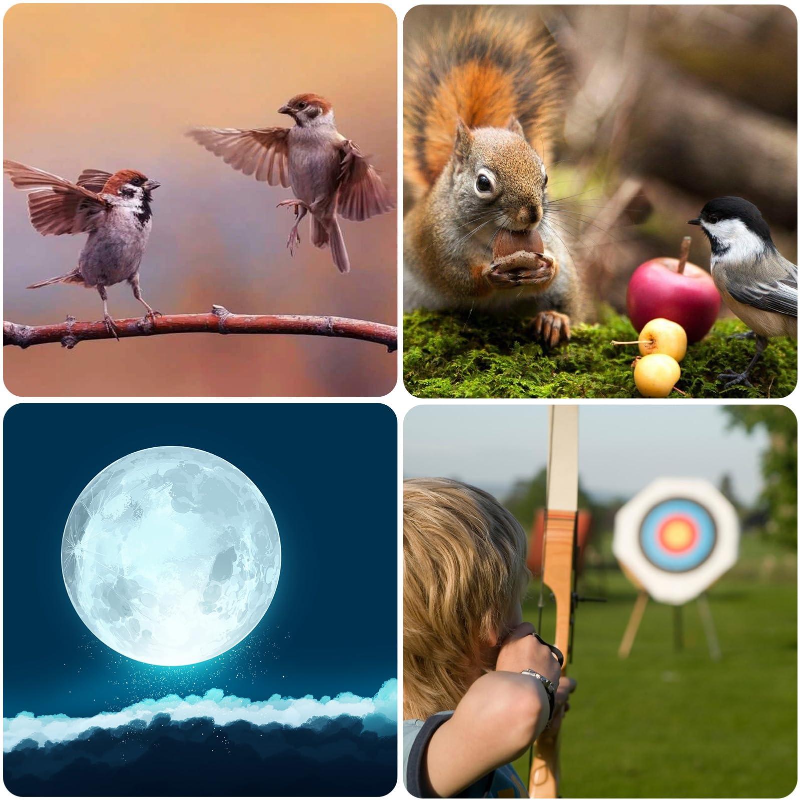 Gosky Gosky Updated 20-60x80 Spotting Scopes with Tripod, Carrying Bag and Quick Phone Holder - BAK4 High Definition Waterproof Spotter Scope for Bird Watching Wildlife Scenery1,Green