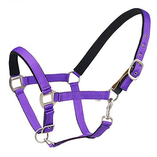 centaur centaur Solid Cushion Padded Breakaway Halter (Purple, Horse)
