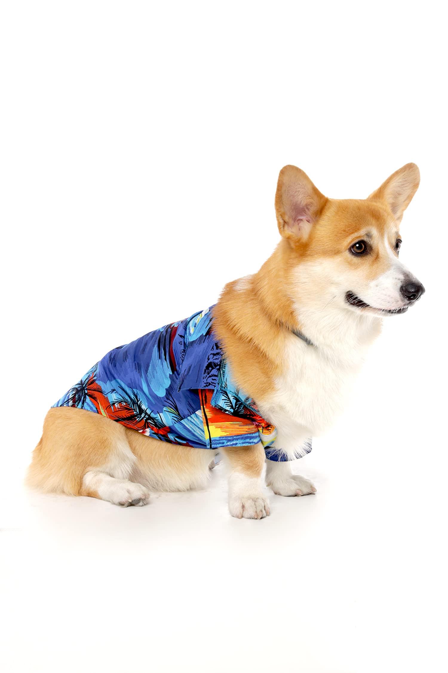 Hawaii Hangover Matchable Family Hawaiian Luau Shirts, Sunset Blue, Dog, Small