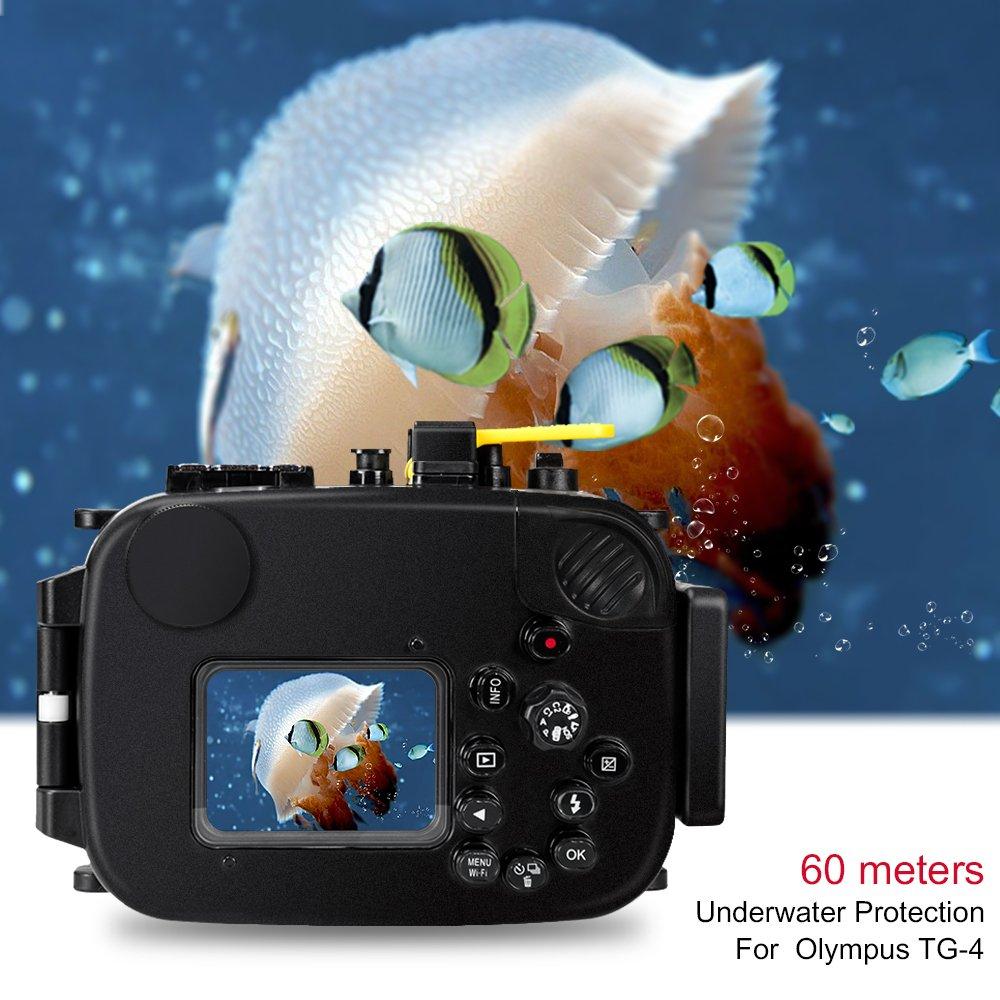 Sea frogs Seafrogs 40M/130FT Underwater Camera Housing Waterproof Case for Nikon Z6II Z7II with Standard Port