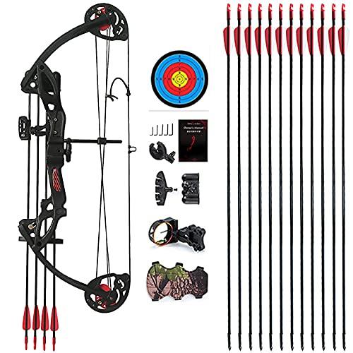 PANDARUS PANDARUS Compound Bow Archery for Youth and Beginner, Right Handed,19-28 Draw Length,15-29 Lbs Draw Weight, 260 fps (Black Right Handed)