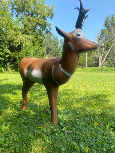 Real Wild 3D Real Wild 3D Pronghorn Antelope Archery Target