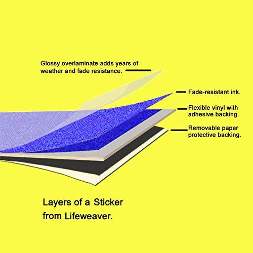 Lenon Lures Lenon\'s Anise Oil Genuine China Star Trusted by Fisherman, Hunters & Trappers Since 1924 (8 oz)