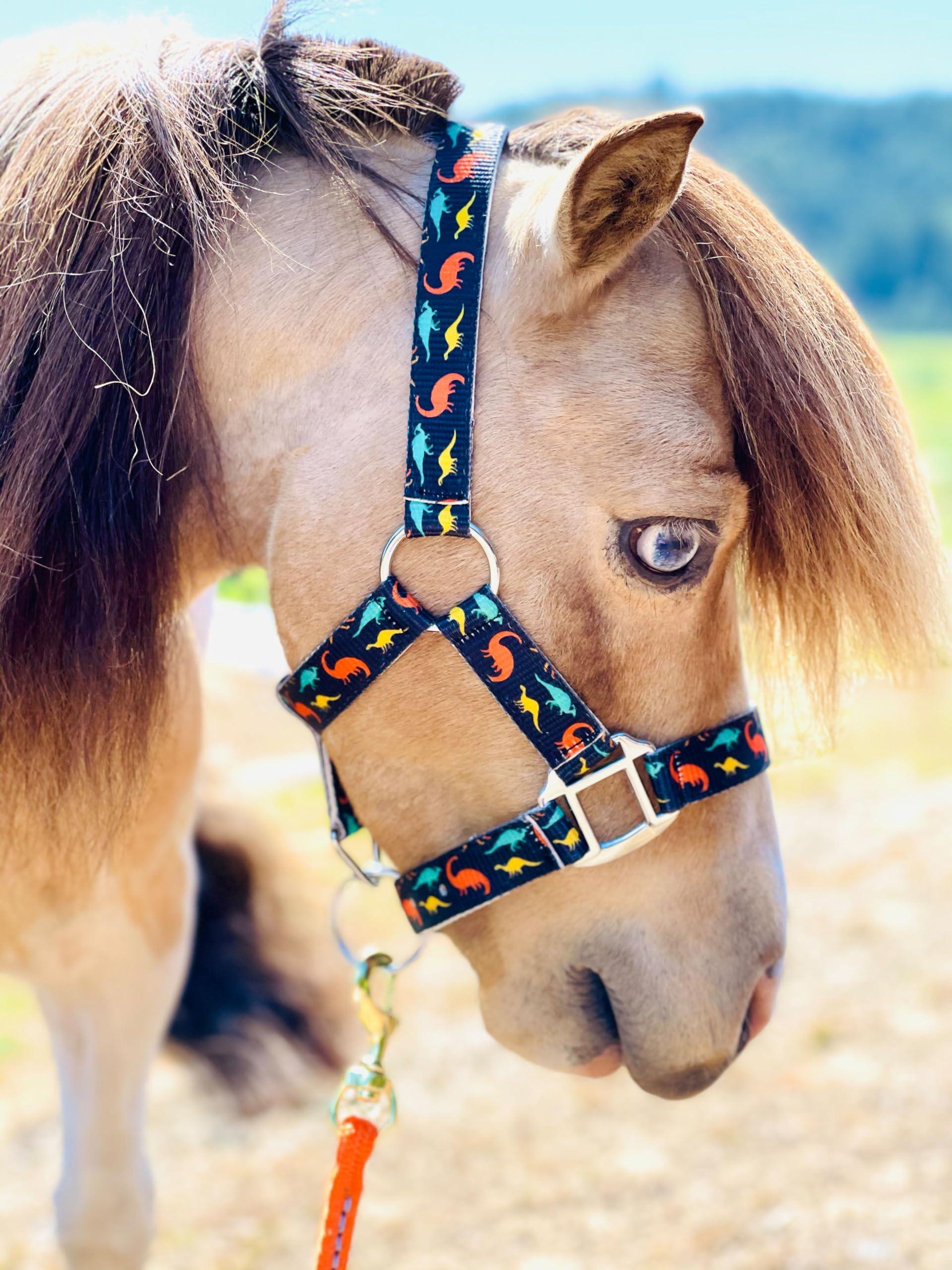 Star Point Horsemanship Star Point Horsemanship Mini-Pony Dinosaur Halter Nylon Horse Training Halter Stiff Cord Adjustable Long Lasting Quick Release Buckle Used by Famous Trainers (Average Horse Size)