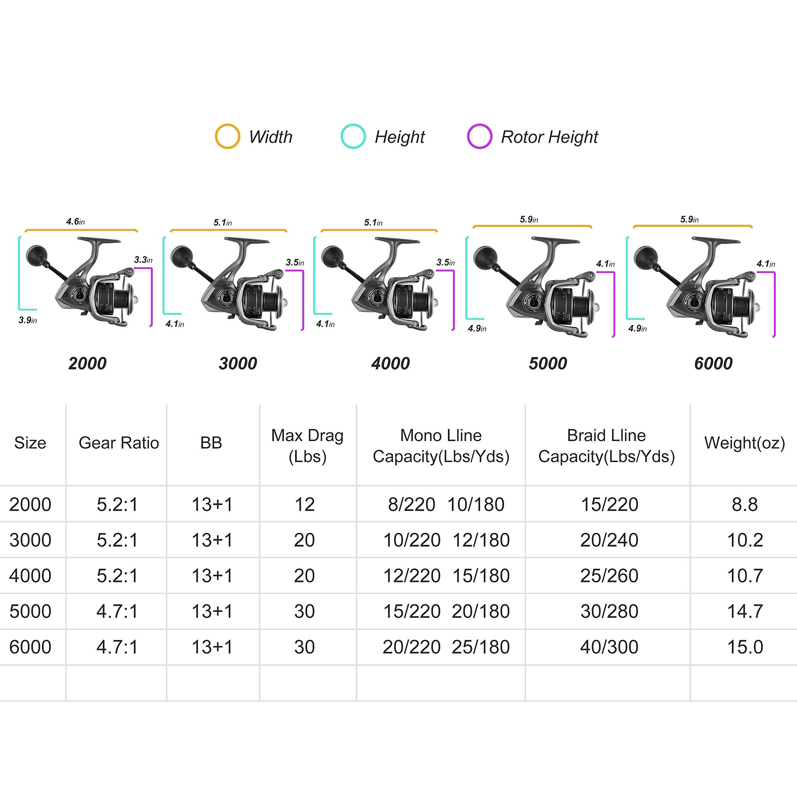 RIKIMARU Rikimaru Spinning Fishing Reels 13+1BB Stainless Steel Alloy Material Ultra Smooth Powerful Light Weight GK Serie (Matte Black, GK-3000)
