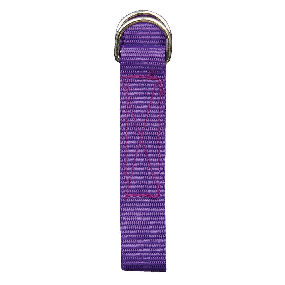 CHAMPRO Champro Standard Pro Football Belt, Purple