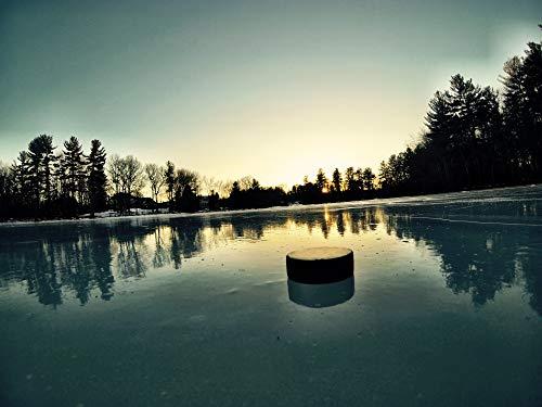 E-Hockey Pucks Bulk Blank Ice Hockey Pucks - 50 Puck Case - Official Regulation 6 oz - Discount