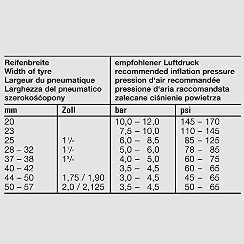 Fischer 'Fischer Pasi 28 Schmal SV Inner tube – Grey, One Size