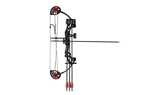 PANDARUS PANDARUS Compound Bow Archery for Youth and Beginner, Right Handed,19-28 Draw Length,15-29 Lbs Draw Weight, 260 fps (Black Right Handed)