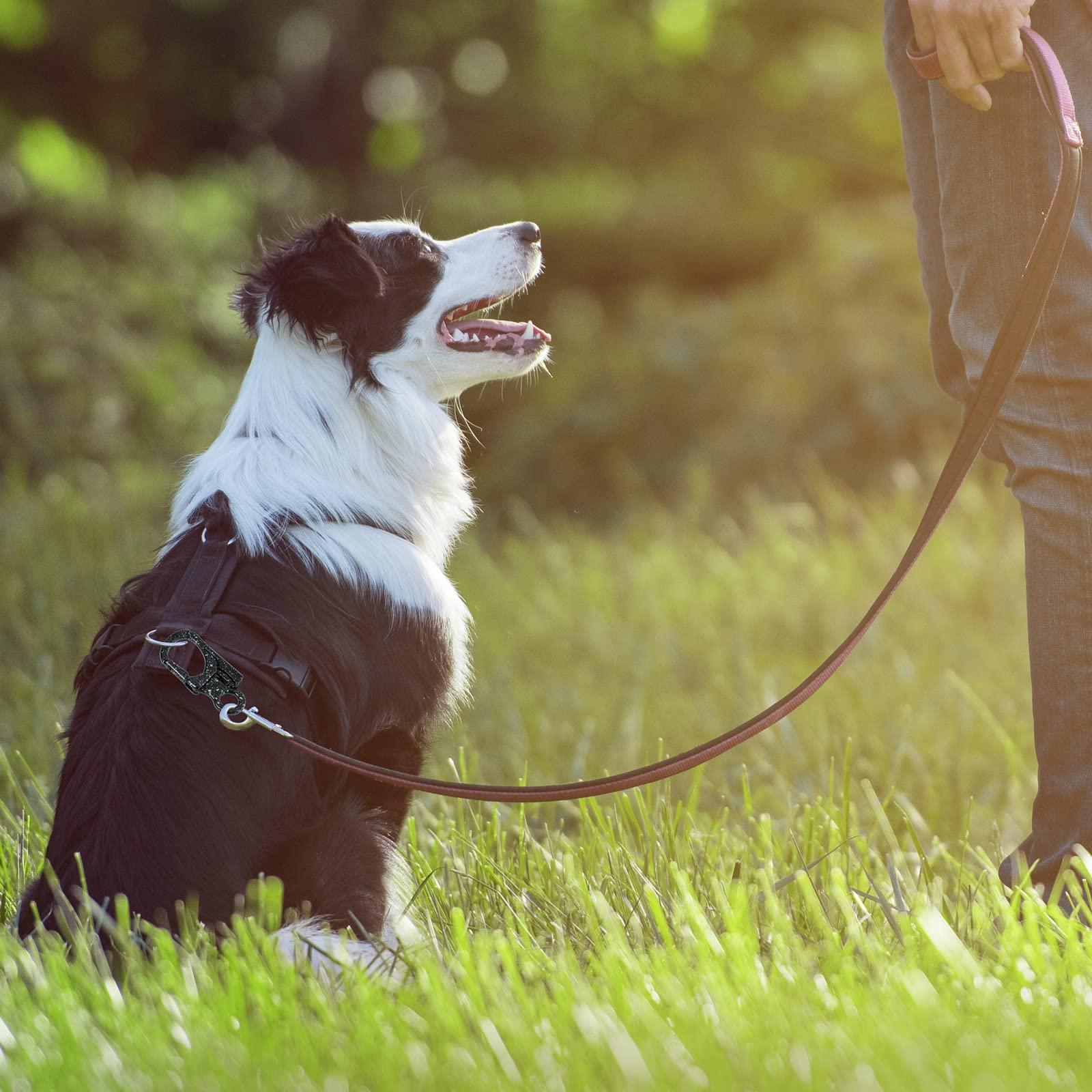 Ahiller Ahiller Carabiner Clip, Double Anti-Misopening Locking Design, 3" Zinc Alloy Heavy Keychain for Outdoor Camping Hiking, Key Ring Clip (Black Blue-1P)