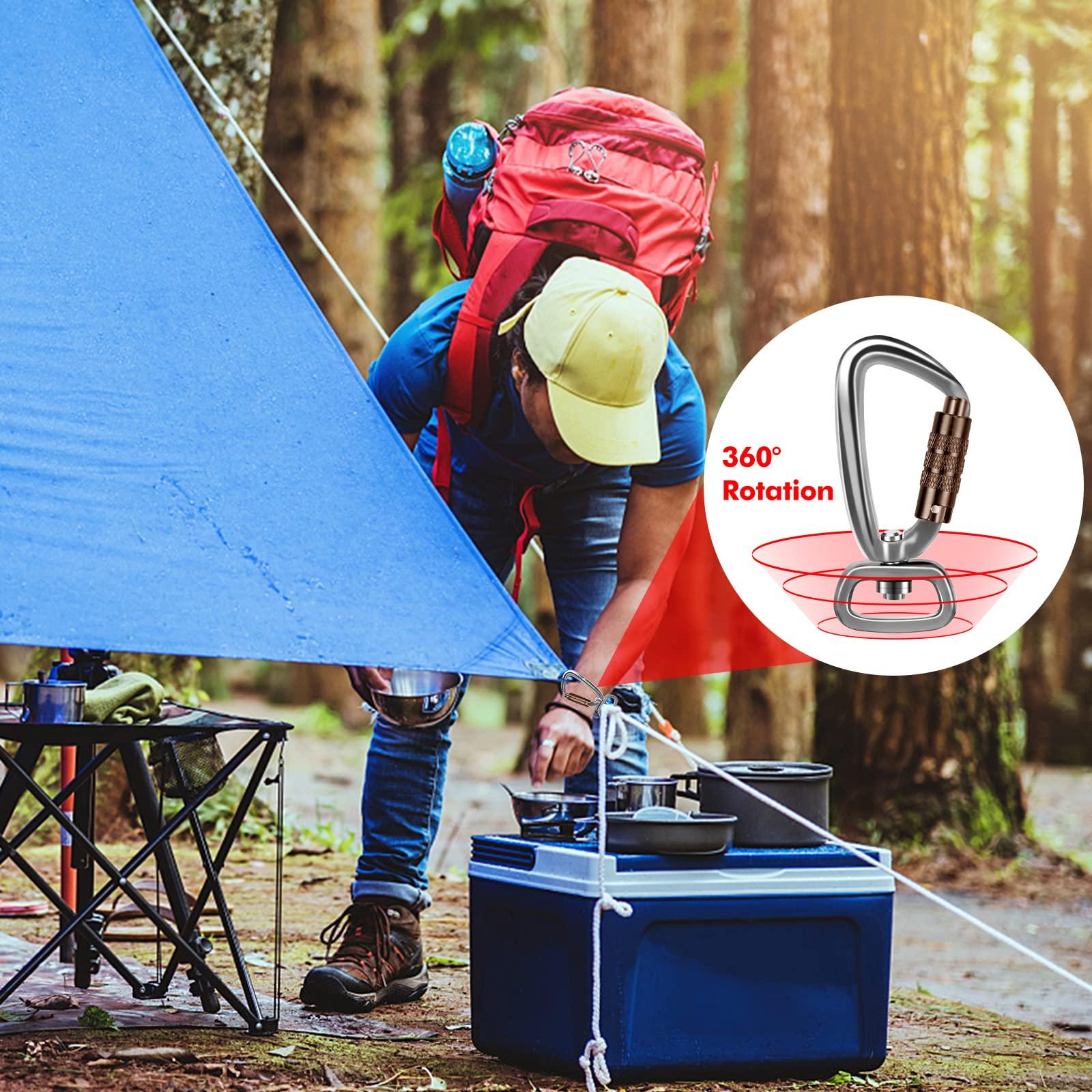 PANDENGZHE PANDENGZHE 2 Pack Locking Carabiner Clip 2.5" with Swivel Ring for Securing Pets, Dog Leash Harness, Camping, Hiking, Keychains